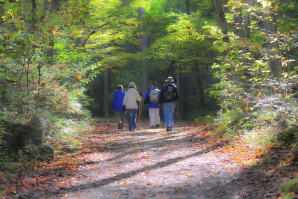 7 Best Places for Walking in Delaware, Ohio
